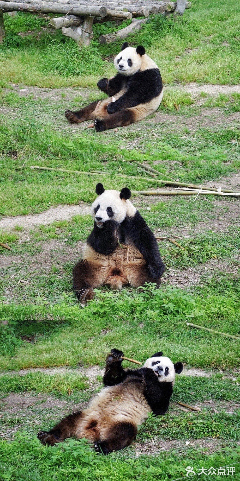 人生第一次 春游大作战