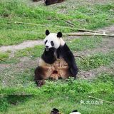 人生第一次 春游大作战