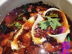 -晓彭肥肠鸡·泡椒鸡火锅(水木天地店)