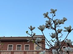 -晋江五店市传统文化旅游区