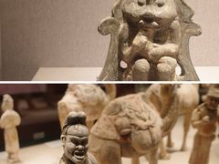 -河南博物院