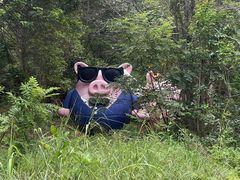 -观澜湖生态运动公社