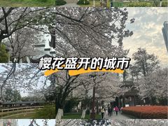 -堤角公园
