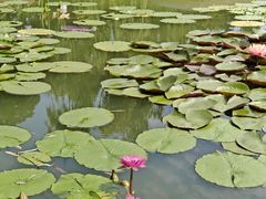 -国家植物园南园