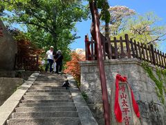 -崂山仰口游览区
