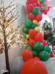 -敦南舒悦月子会所(南湖店)