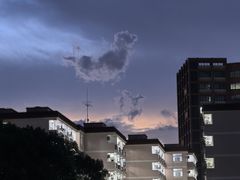 -上海财经大学-新食堂