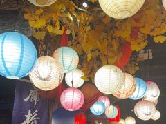 -蓉城老妈火锅(双林路店)