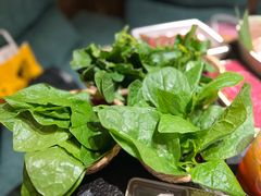 -大龙燚·旷野鲜火锅(广州首店)