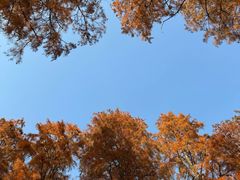 -狼山风景名胜区