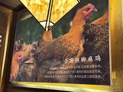 -云海肴·汽锅鸡·云南代表菜(天津国金汇店)