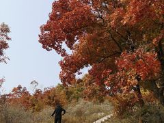 -寒同山神仙洞