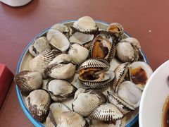 清蒸毛蛤-天天鱼港·海鲜·鲅鱼水饺·招牌烤鸭(黄骅店)