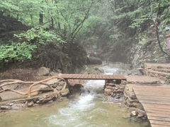 -本溪汤沟绿石谷森林公园