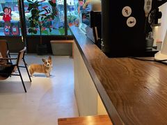 -fishtank鱼缸咖啡(三山街店)