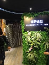 点击看大图 -藤野造型