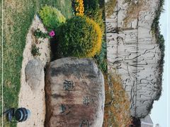 -嘉定紫藤园