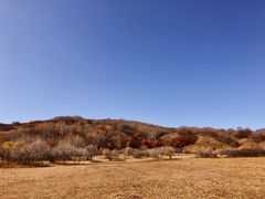 -塞罕坝国家级自然保护区