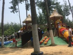 -合肥滨湖国家森林公园