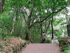 -广州市白云山风景名胜区
