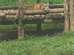 -西安秦岭野生动物园