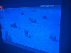 -浅深Cheersum(曹杨店)