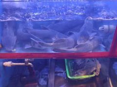 -老阿爸江浙土菜(前进东路店)