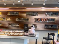 -瑞司视光眼镜·蔡司战略合作眼镜店(新街口店)