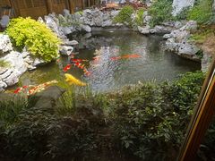 -鲤院·新中式美学·庭院餐厅(夫子庙店)