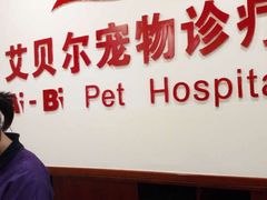 -艾贝尔宠物诊疗