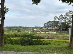 -光明小镇欢乐田园