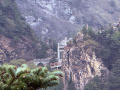 -牛背梁国家森林公园