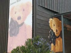 -济州岛泰迪熊博物馆