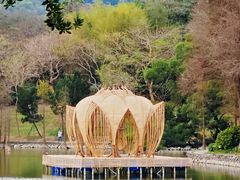 -广州市白云山风景名胜区