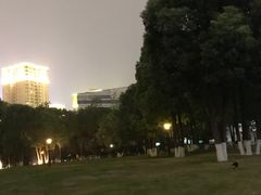 -重庆市江北嘴中央商务区中央公园