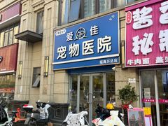 -爱佳宠物中心医院24H·CT·骨外科·猫专科(瑶海万达店)