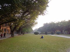 -中山大学学者灵芝(园南路店)