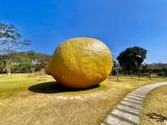 -顺峰山公园
