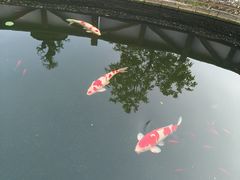 -香麒园·过桥米线·南湖雅宴