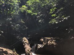 -西双版纳基诺山寨