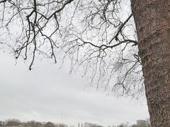 -摄政公园