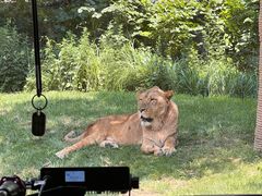 -北京野生动物园