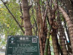 -广西壮族自治区药用植物园