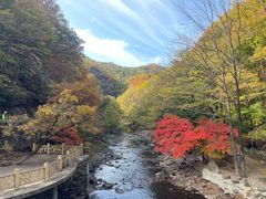 -关门山森林公园