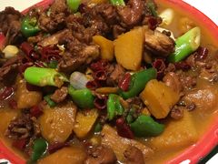 -柴窝堡玉兰辣子鸡(碱泉三街店)