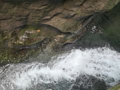 -神龙峡风景区