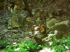 -北京上方山国家森林公园