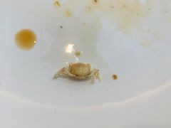 -海味当家(西安路店)