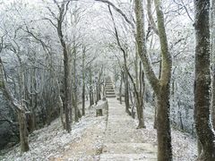 -梧桐山风景名胜区