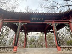 -武侯墓风景区